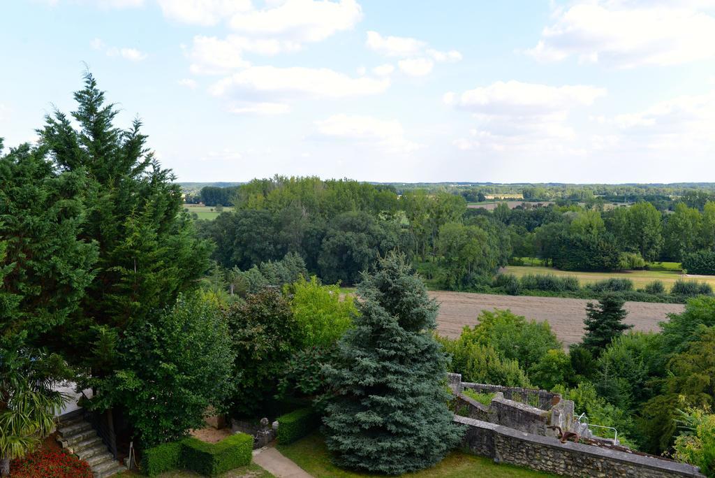 Gites Troglodytes Du Chateau De L'Etoile Vernou-sur-Brenne Room photo